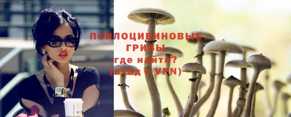 ешки Липки