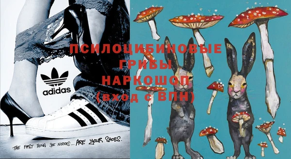 ешки Липки