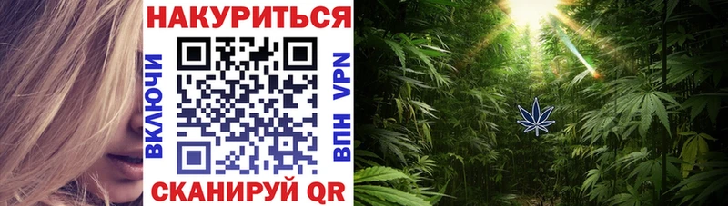 Бошки марихуана семена  Агрыз 